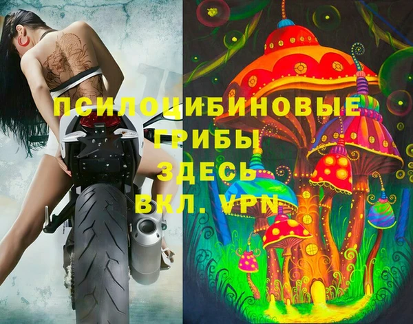 эйфоретик Красноперекопск