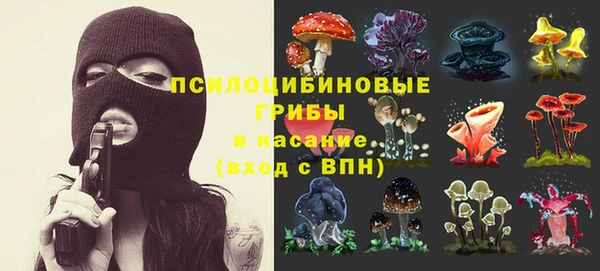 эйфоретик Красноперекопск