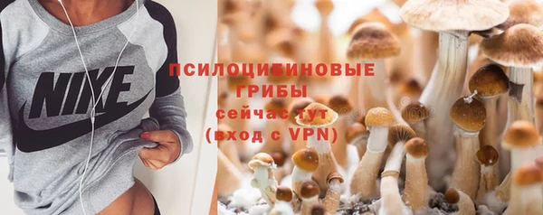 эйфоретик Красноперекопск
